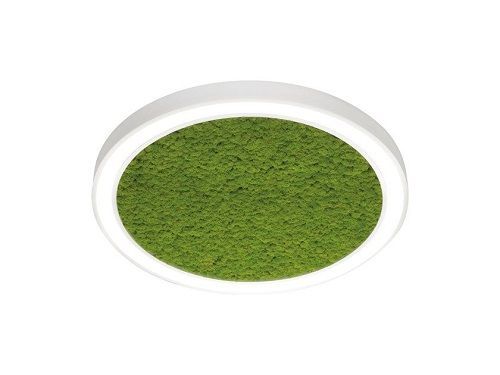 FI ALPHA MOSS CEILING 